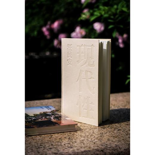 正版图书 现代性 汪民安 著 南京大学出版社 ND 商品图3