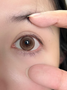 toastnomi日抛 奶茶酱酱 棕 14.5mm 日抛无售后！！