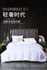 希尔顿加厚羽丝绒冬被200*230（8斤） 商品缩略图1
