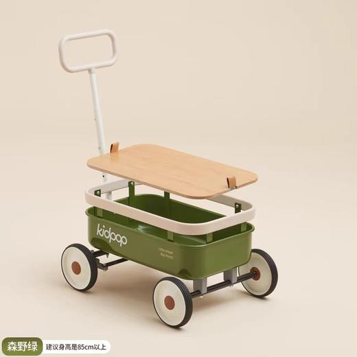 (包邮)KIDPOP pula-小野推拉车（四种颜色） 商品图4