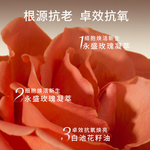 【秋冬热卖】兰蔻菁纯臻颜精萃乳霜 滋润型 15ml 商品图2