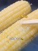 拍10根加送1根！【新疆阿勒泰鲜食白糯玉米🌽】阿勒泰产地直发！来自新疆戈壁滩的“带有太阳味道的鲜玉米”撕掉塑料袋，水开后蒸20分钟！ 商品缩略图4