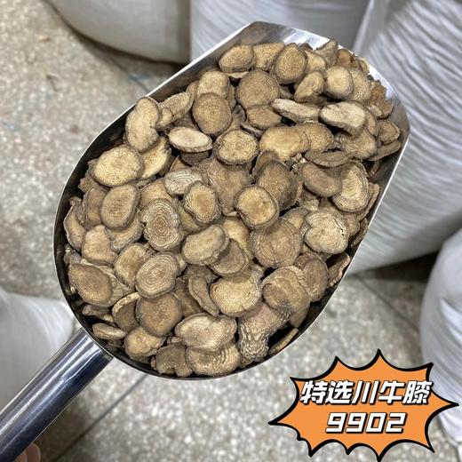 川牛膝 当季新货 农家生晒 中药材 商品图2