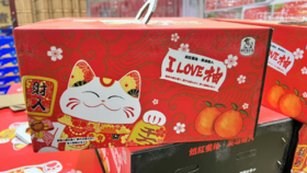 招财猫柚子一箱