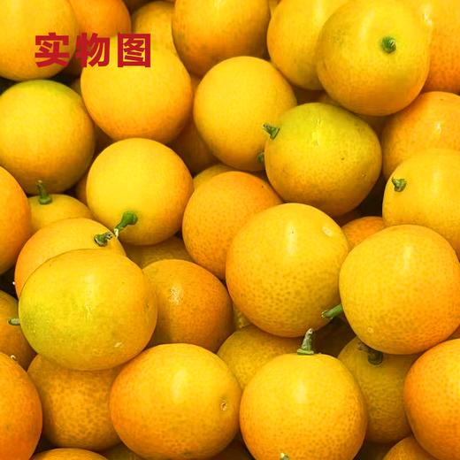 金钱橘350g 【BC】【QC】 商品图2