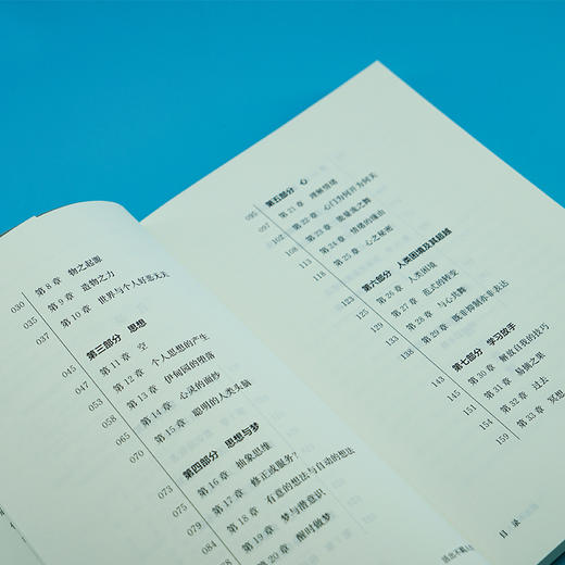 【正版现货】活出不羁人生 臣服实验作者迈克·A.辛格新作 收录李一诺深度访谈 南京大学出版社 ND 商品图1