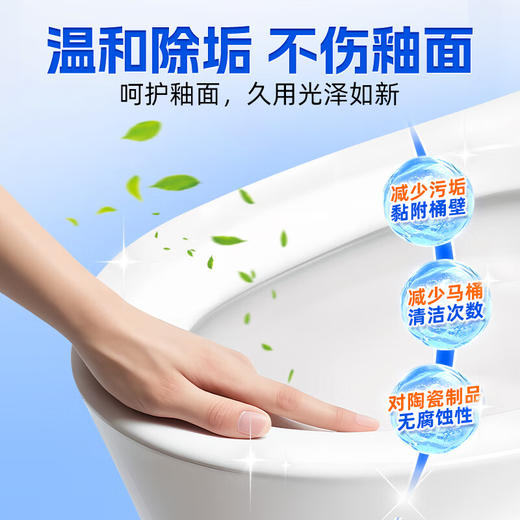 蔬果园阳光松木剂洁厕500g 商品图5
