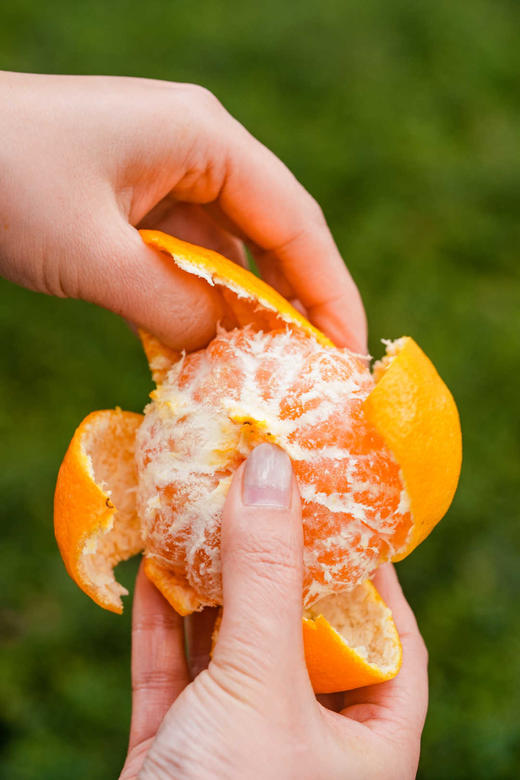 正宗浙江临海涌泉蜜橘桔子新鲜超甜无核礼盒装 无核薄皮黄蜜桔 商品图0