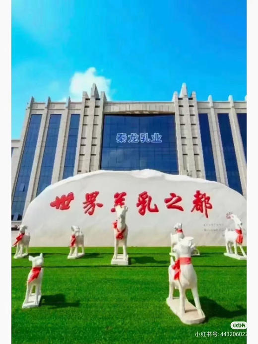 秦龙有机100%纯羊奶首购活动：800克+400克，共两罐298元。 商品图5