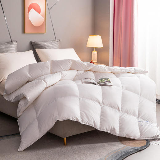 恒源祥白鹅绒被， 鹅绒蓬松柔软，睡觉时不会压身，但是保暖性极佳（G） 商品图0