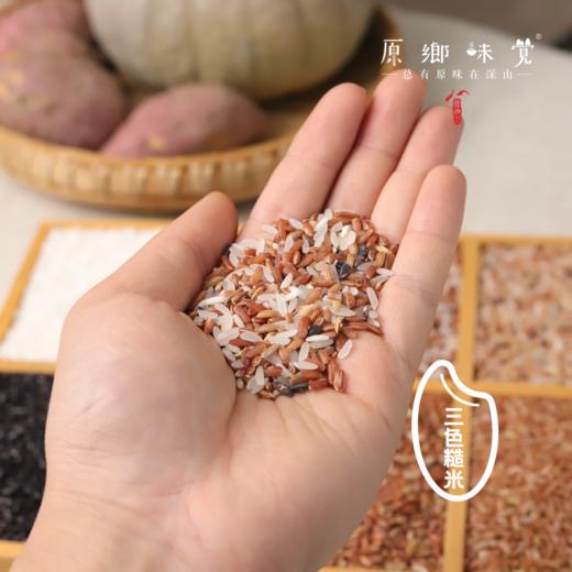 生态梯田古稻三色糙米/胚芽米/红糙米/红胚芽米/黑米/糯米（基地直发-顺丰包邮）| 2斤装，5斤装，来自贵州贵阳，生产者：杨婧懿【合作生产，公平贸易】 商品图3