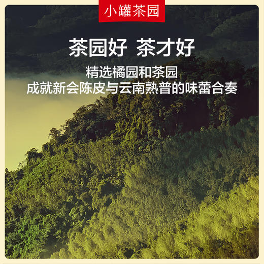 小罐茶园 陈皮普洱茶 彩标单罐装 120g【现货】 商品图1