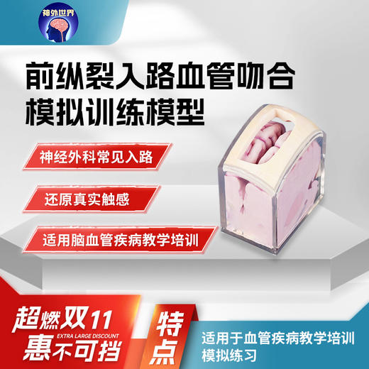 【神外特惠】神外世界出品 3D打印颅骨三件套 颅内神经血管模型  前纵裂入路、颞下入路、CPA入路、翼点入路血管吻合模拟训练模型 商品图3