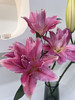 油画重瓣百合，粉色！4-6头/支，一支 商品缩略图0