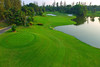 曼谷艾潘高尔夫俱乐部 Alpine Golf Club Bangkok | 泰国高尔夫球场俱乐部 | 曼谷高尔夫 商品缩略图9