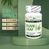 美国Herb’s Secret 儿童橄榄叶精华胶囊90粒 商品缩略图0