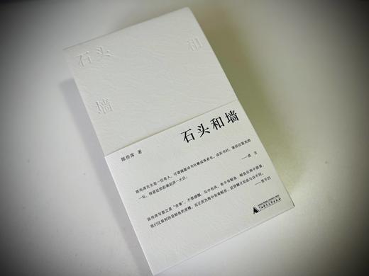 【可选签名钤印/毛边签名钤印】纯粹·  石头和墙(全3卷)   陈传席/著 商品图1