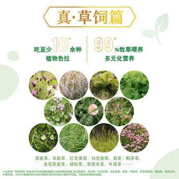 安佳（Anchor）有机4.4g原生高蛋白纯牛奶 250ml*15盒*2箱 新西兰进口草饲 商品图3