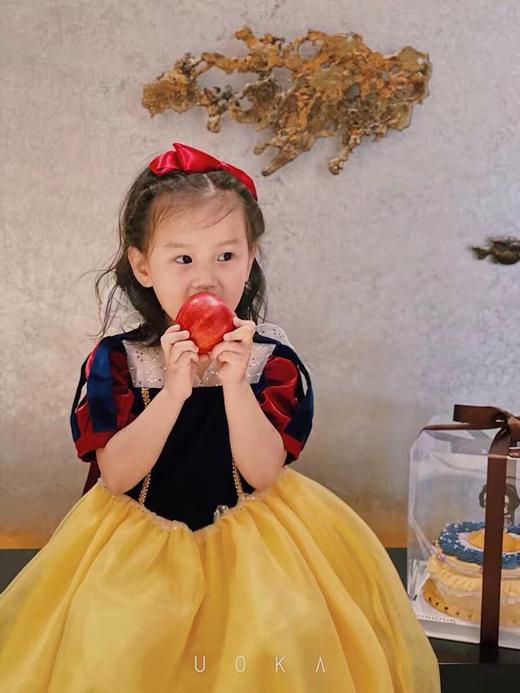 【断码合集】pureshare 蓬纱馆女童连衣裙秋装新款洋气气质丝绒礼服裙演出生日 商品图9