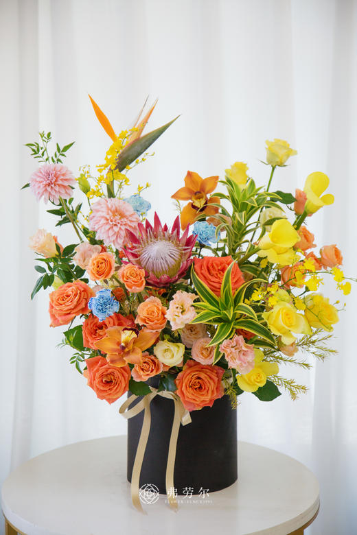 喜乐常安 商品图0