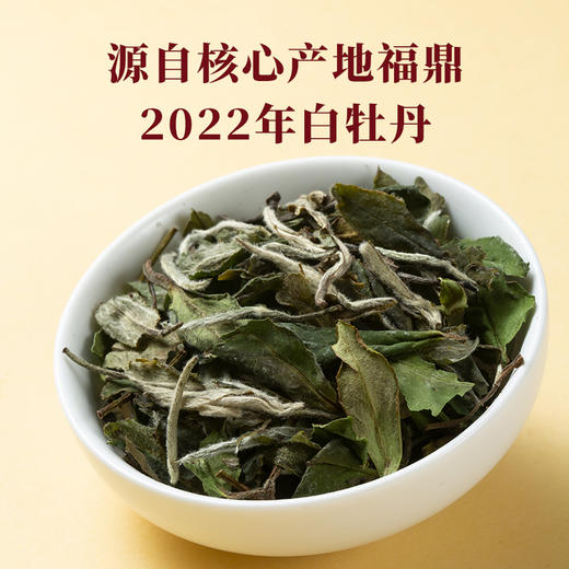八马茶业 | 茗山系福鼎白茶·白牡丹105g 商品图2