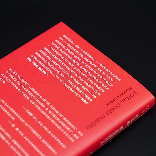 洛尔迦 被诅咒的诗人 文学传记 弗朗西斯科·翁布拉尔 编著 南京大学出版社 ND 商品图2