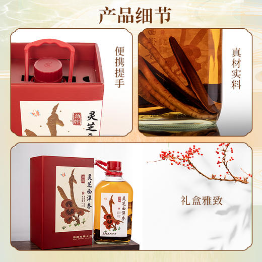 【特色浸泡】2.3L40度劲牌灵芝西洋参酒 商品图6