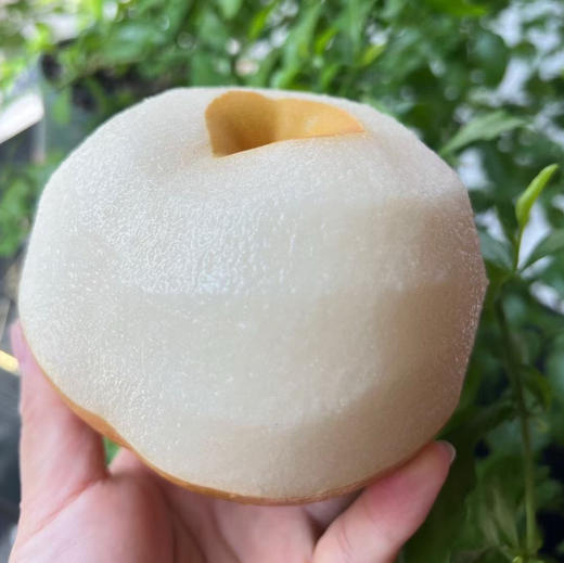 正宗冰糖秋月梨 商品图2