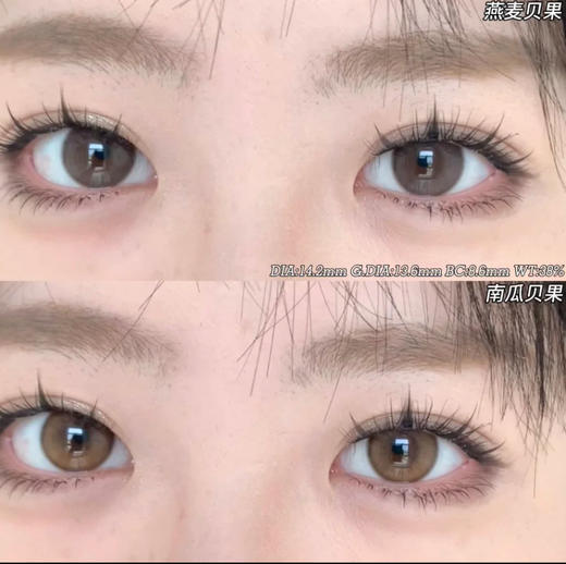 ALLECON年抛 商品图4