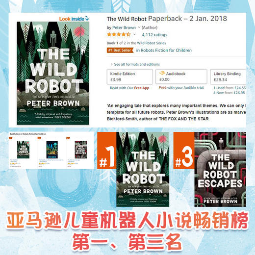 接力国际大奖儿童文学书系·机器人的逃跑计划 商品图1