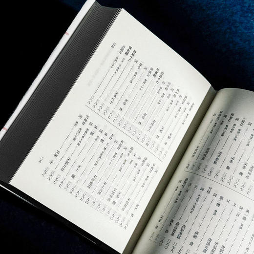 文体明辩 诗馀 国学研究 词谱 [明]徐师曾 十四五国家重点图书 商品图8