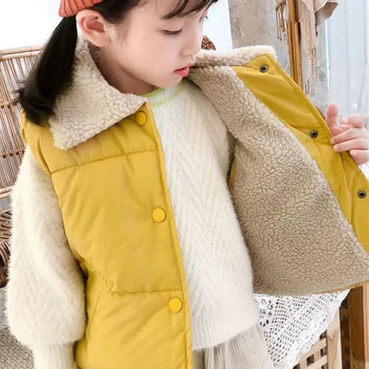 加厚夹棉羊羔绒儿童马甲/加厚羽绒立领儿童马甲 商品图2