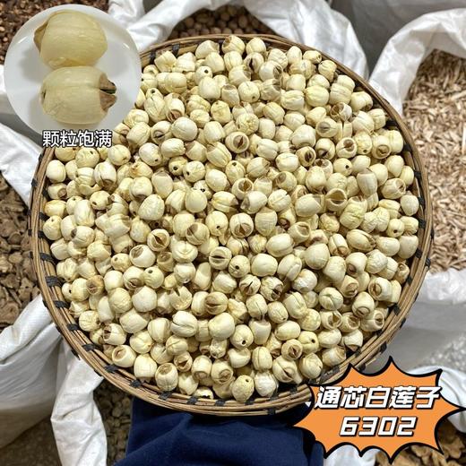 莲子 磨莲 白莲子  抽心去芯连子  带芯红莲子  通芯白莲  莲子心 商品图1