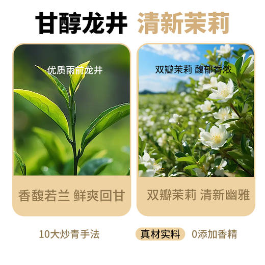 食欣食益茉莉龙井豆乳茶10条*20g 0蔗糖添加健康早餐下午茶冷热泡奶茶 商品图1