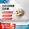 【神外特惠】神外世界出品 3D打印颅骨三件套 颅内神经血管模型  前纵裂入路、颞下入路、CPA入路、翼点入路血管吻合模拟训练模型 商品缩略图1
