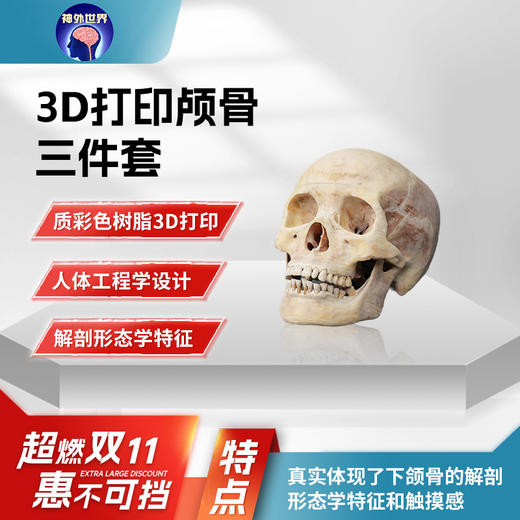 【神外特惠】神外世界出品 3D打印颅骨三件套 颅内神经血管模型  前纵裂入路、颞下入路、CPA入路、翼点入路血管吻合模拟训练模型 商品图1