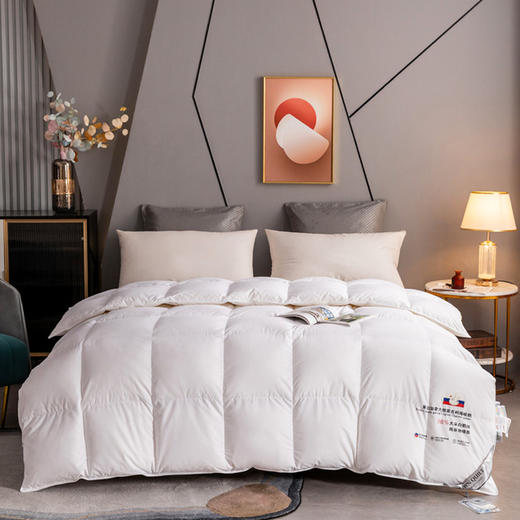 恒源祥白鹅绒被， 鹅绒蓬松柔软，睡觉时不会压身，但是保暖性极佳（G） 商品图4