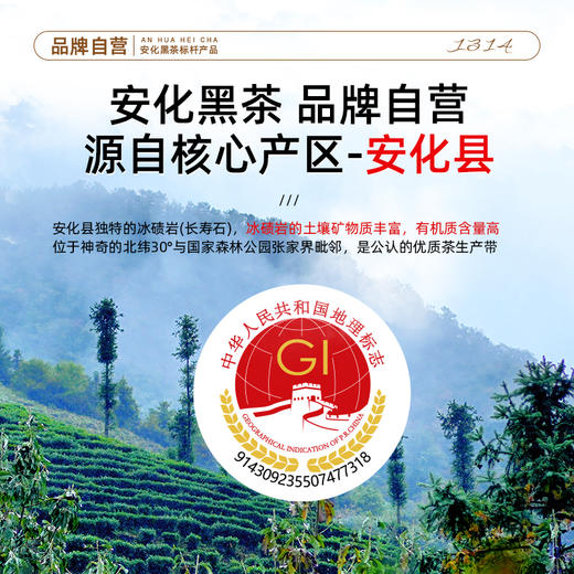 安化黑茶一生一世品鉴装30g 商品图2