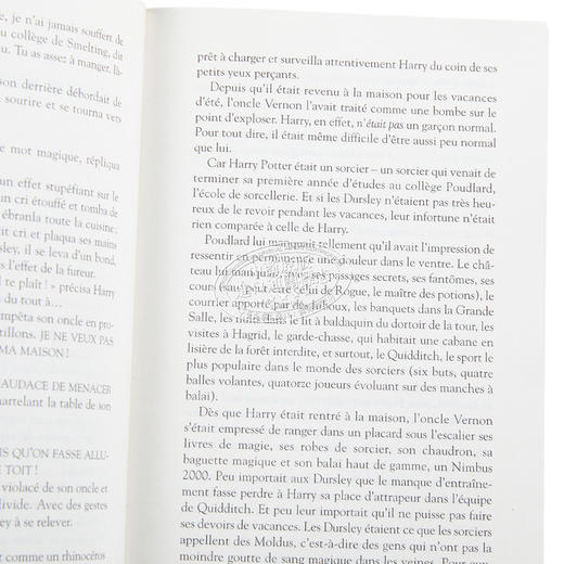 【中商原版】【法文版】哈利波特2 哈利波特与密室 法语原版 法文原版书 J.K.罗琳 Harry Potter J.K. Rowling 商品图3