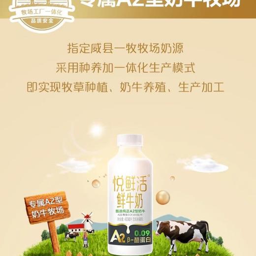 君乐宝悦鲜活A2鲜牛奶 260ml 商品图1