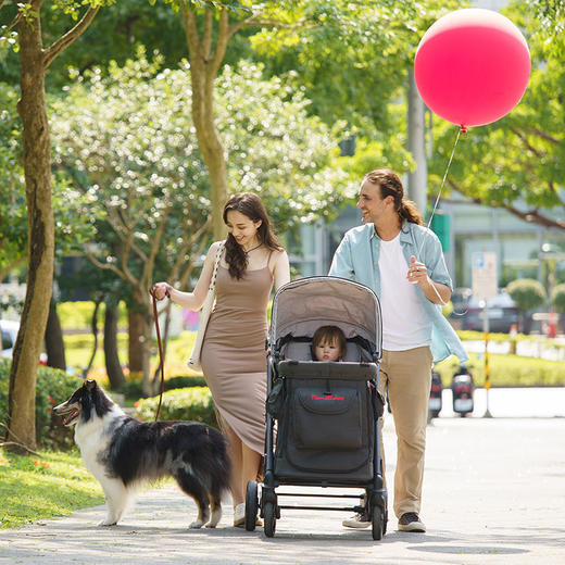 FAMILIDOO法米多婴儿宠物儿童多功能推车可坐可躺一键收车露营遛娃托育户外 商品图6