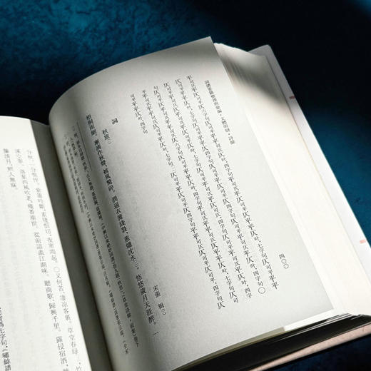 文体明辩 诗馀 国学研究 词谱 [明]徐师曾 十四五国家重点图书 商品图13