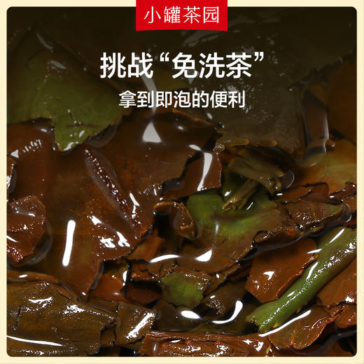 小罐茶园 寿眉茶 白茶  彩标单罐装 5A中国茶   120g(24饼)   【现货】 商品图3