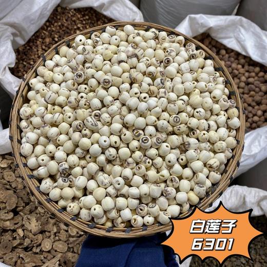 莲子 磨莲 白莲子  抽心去芯连子  带芯红莲子  通芯白莲  莲子心 商品图2