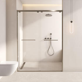 帝王洁具淋浴房一字型干湿分离隔断定制长虹玻璃推拉门卫生间SH910