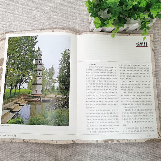 中华古村落 江西卷 本书综合了建筑学 历史学 民俗学 社会学 文化人类学 作者许飞进 江苏凤凰教育出版社 商品图2