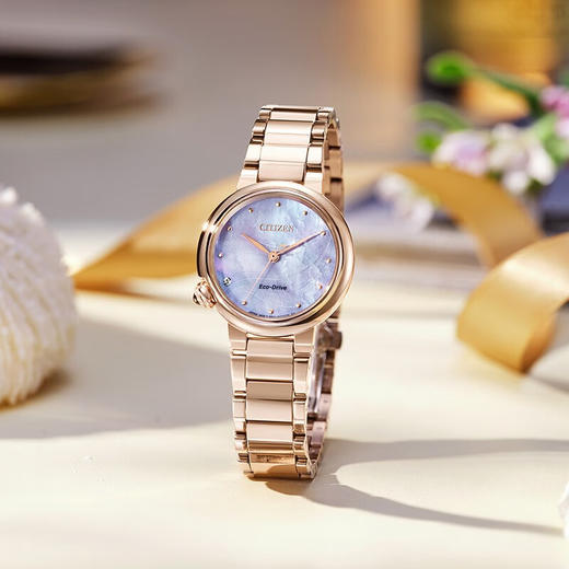 西铁城光动能女表EM0912-84Y 商品图1