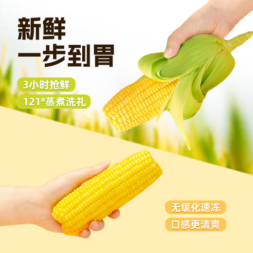 失重密码  水果玉米棒  220g*6根装 商品图1