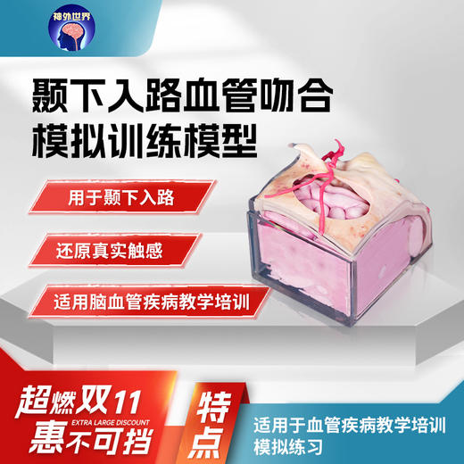 【神外特惠】神外世界出品 3D打印颅骨三件套 颅内神经血管模型  前纵裂入路、颞下入路、CPA入路、翼点入路血管吻合模拟训练模型 商品图4