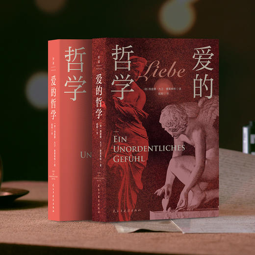 爱的哲学 理查德大卫普莱希特 陈嘉映刘擎推荐认知世界哲学家磨铁 商品图2